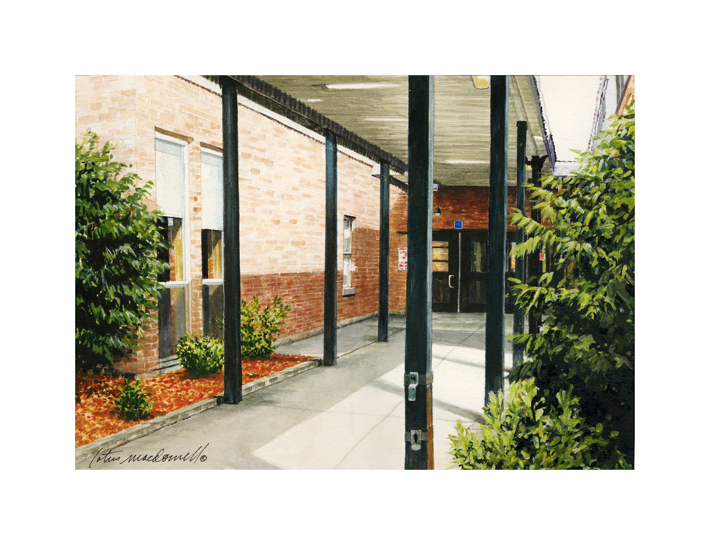 Introducing the Limited-Edition Print version of "Bridgeport High School", the original full color, watercolor painting, by Lotus MacDowell, featuring the entrance walkway to the town's high school, bathed in sunlight and shadows.