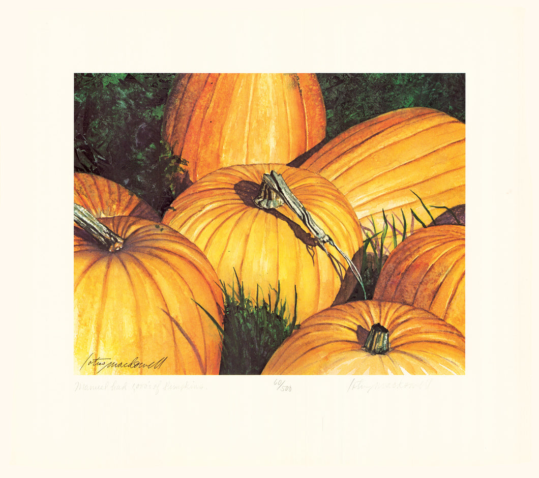 Manuel's Pumpkins-Preston Co., WV- Limited Edition Print. Pumpkins, pumpkins, and more pumpkins...in this charming original watercolor painting titled “Manuel's Pumpkins” by artist Lotus MacDowell, Artworks WV, as a tribute to a young boy she knew. His name was Manuel; he and his brother grew thousands of these to make money. They would be lined up in rows, as far as the eye could see.